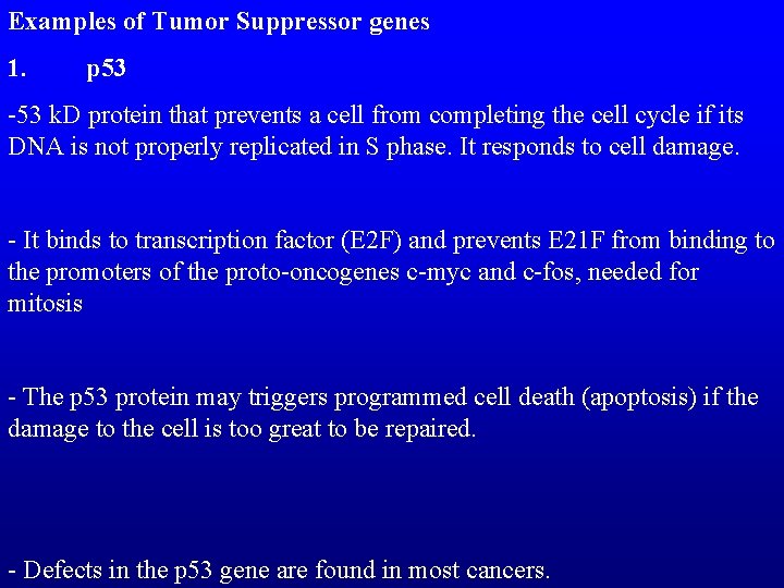 Examples of Tumor Suppressor genes 1. p 53 -53 k. D protein that prevents