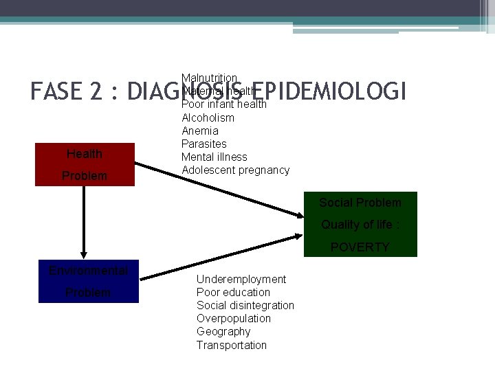 Malnutrition Maternal health Poor infant health Alcoholism Anemia Parasites Mental illness Adolescent pregnancy FASE