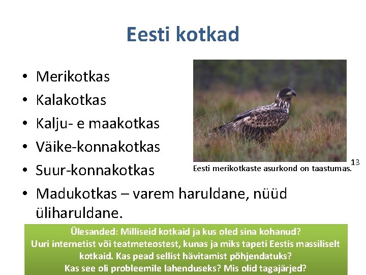 Eesti kotkad • • • Merikotkas Kalakotkas Kalju- e maakotkas Väike-konnakotkas 13 Eesti merikotkaste