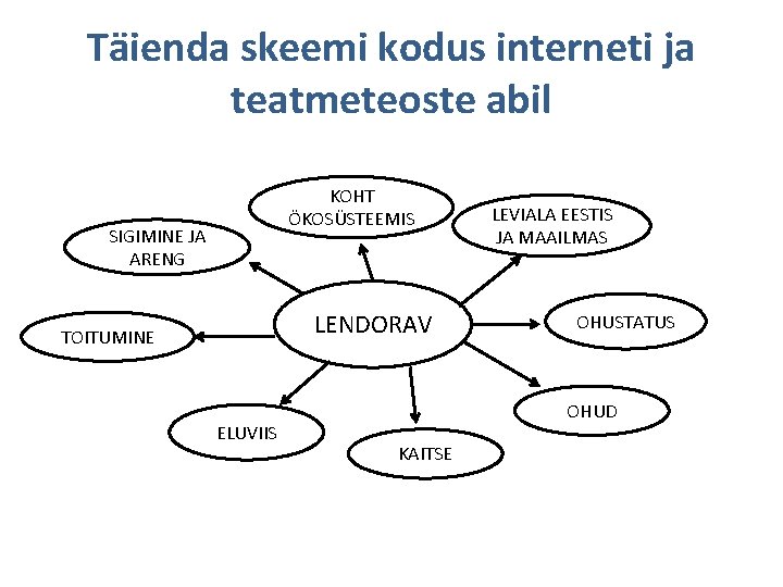 Täienda skeemi kodus interneti ja teatmeteoste abil KOHT ÖKOSÜSTEEMIS SIGIMINE JA ARENG LENDORAV TOITUMINE