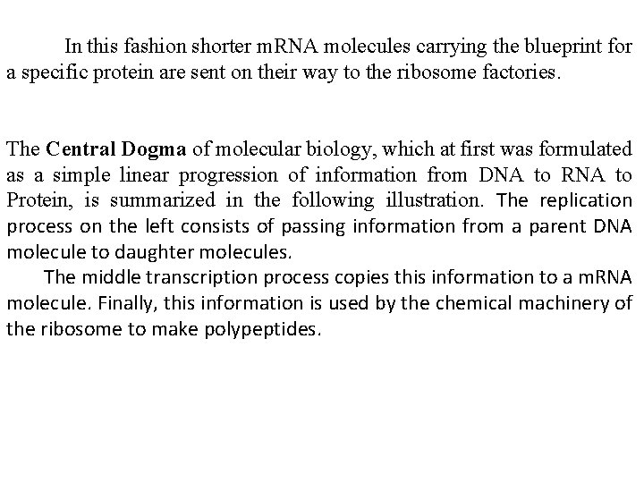  In this fashion shorter m. RNA molecules carrying the blueprint for a specific