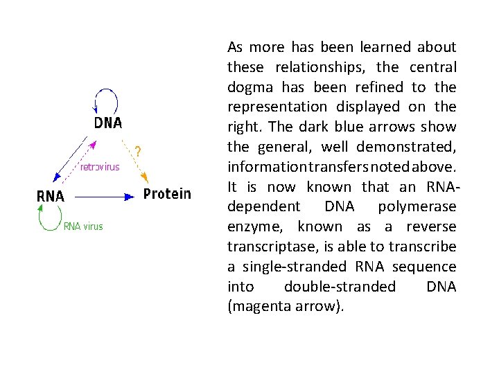 As more has been learned about these relationships, the central dogma has been refined