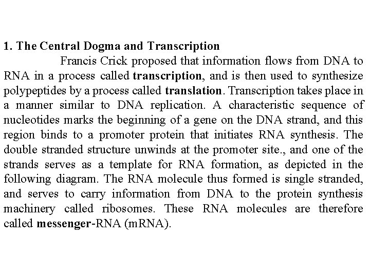1. The Central Dogma and Transcription Francis Crick proposed that information flows from DNA