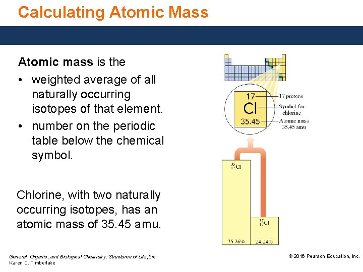 Calculating Atomic Mass Atomic mass is the • weighted average of all naturally occurring