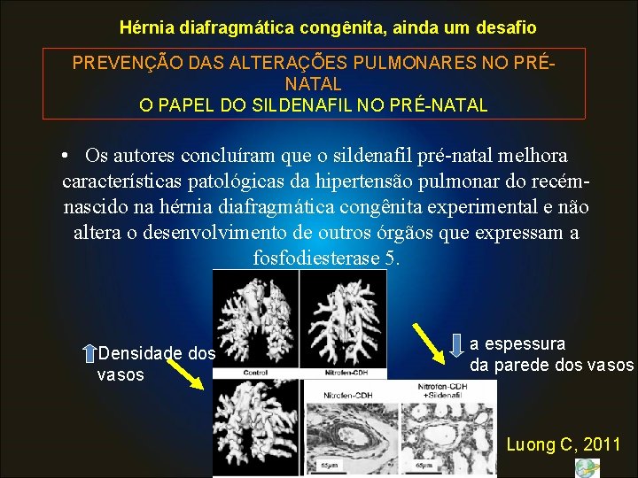 Hérnia diafragmática congênita, ainda um desafio PREVENÇÃO DAS ALTERAÇÕES PULMONARES NO PRÉNATAL O PAPEL