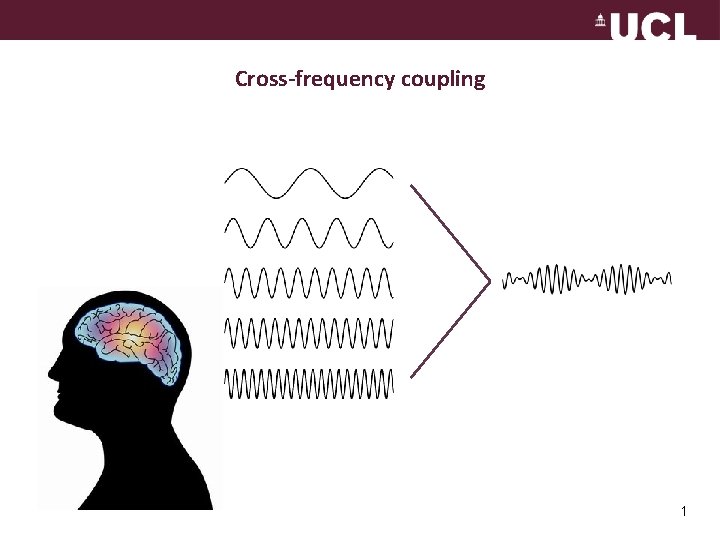 Cross-frequency coupling 1 