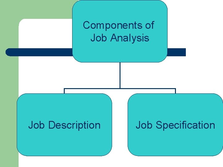 Components of Job Analysis Job Description Job Specification 