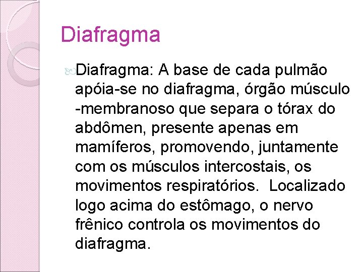 Diafragma: A base de cada pulmão apóia-se no diafragma, órgão músculo -membranoso que separa Diafragma: A base de cada pulmão apóia-se no diafragma, órgão músculo -membranoso que separa