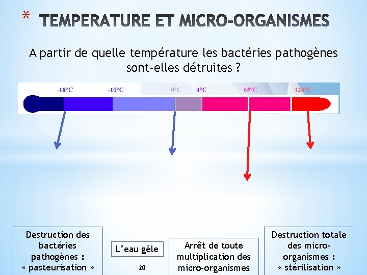 * A partir de quelle température les bactéries pathogènes sont-elles détruites ? Destruction des * A partir de quelle température les bactéries pathogènes sont-elles détruites ? Destruction des