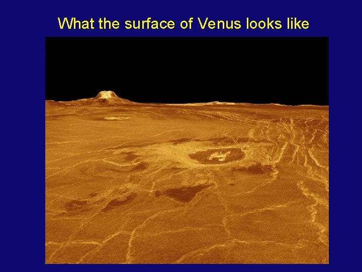 What the surface of Venus looks like 