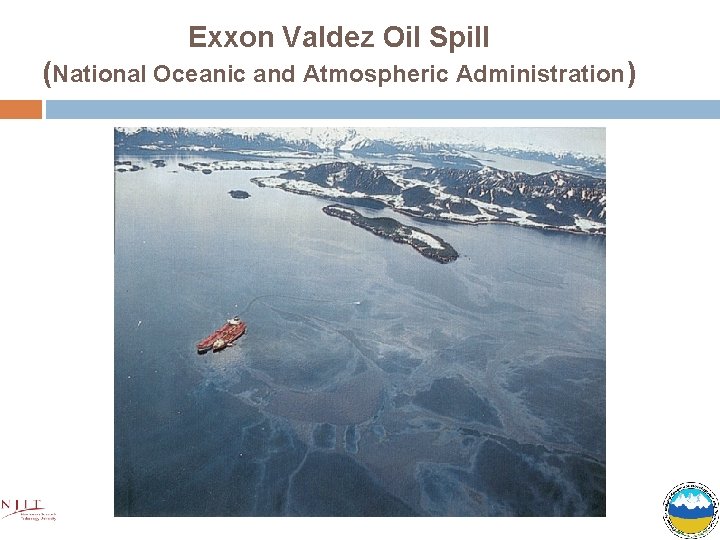 Exxon Valdez Oil Spill (National Oceanic and Atmospheric Administration) 