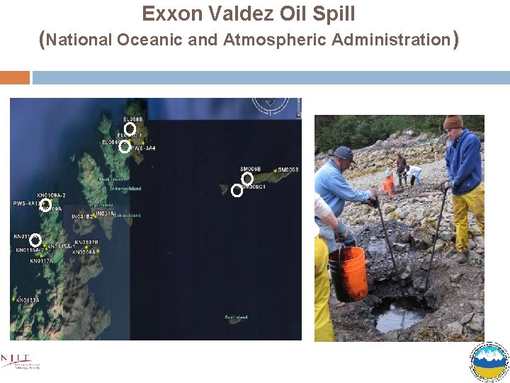 Exxon Valdez Oil Spill (National Oceanic and Atmospheric Administration) 