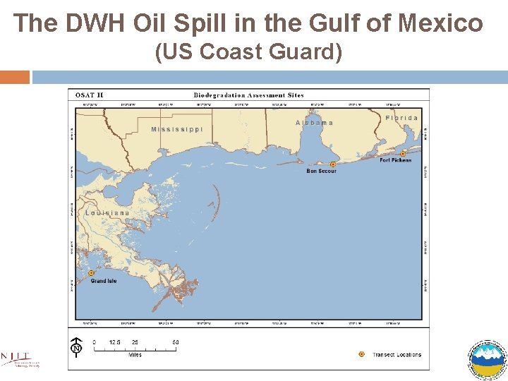 The DWH Oil Spill in the Gulf of Mexico (US Coast Guard) 
