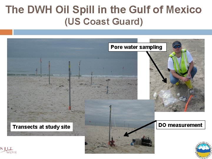 The DWH Oil Spill in the Gulf of Mexico (US Coast Guard) Pore water