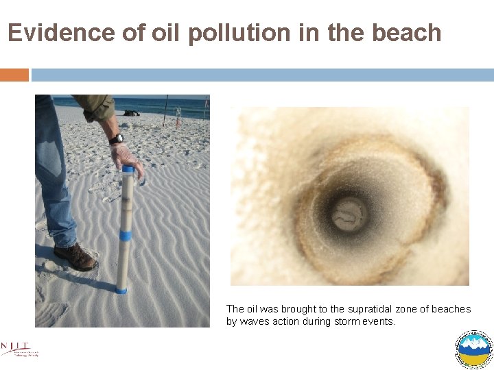 Evidence of oil pollution in the beach mi The oil was brought to the