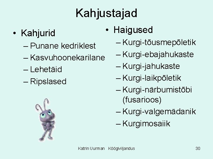 Kahjustajad • Haigused • Kahjurid – Punane kedriklest – Kasvuhoonekarilane – Lehetäid – Ripslased