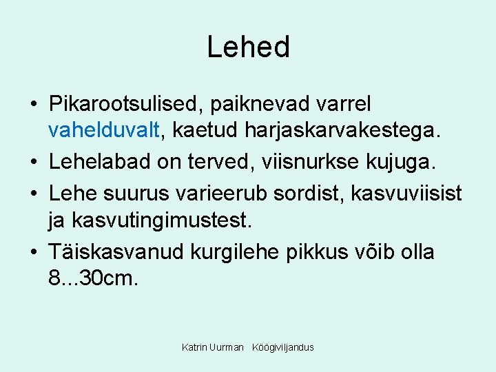 Lehed • Pikarootsulised, paiknevad varrel vahelduvalt, kaetud harjaskarvakestega. • Lehelabad on terved, viisnurkse kujuga.