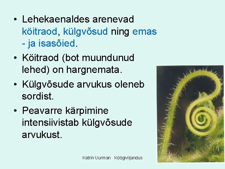  • Lehekaenaldes arenevad köitraod, külgvõsud ning emas - ja isasõied. • Köitraod (bot