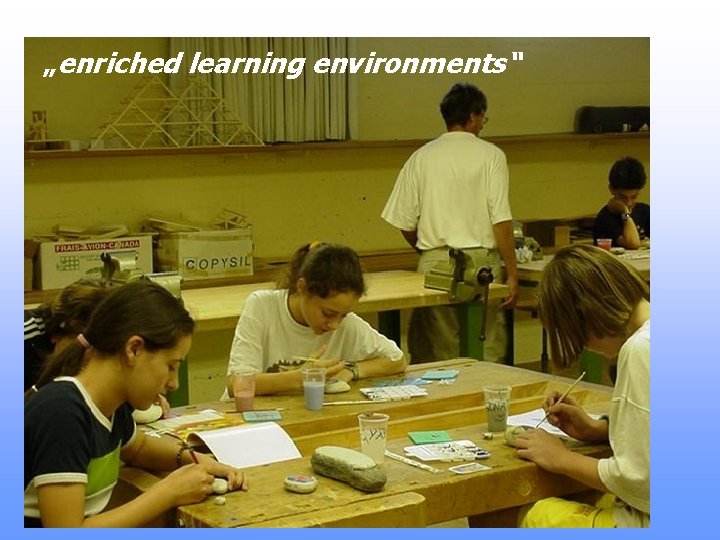 „enriched learning environments“ 