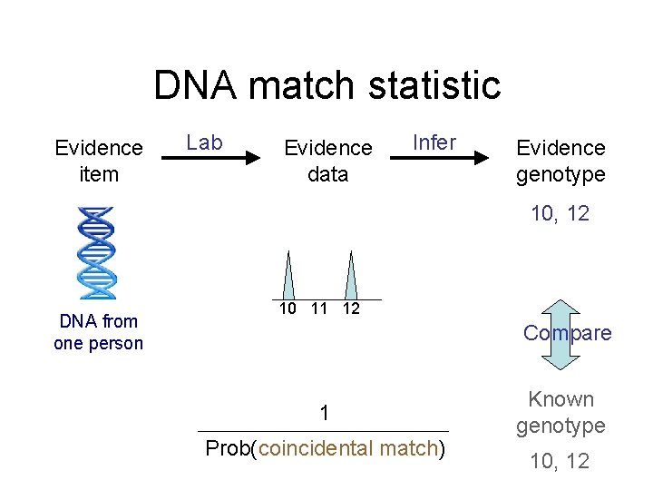 DNA match statistic Evidence item Lab Evidence data Infer Evidence genotype 10, 12 DNA