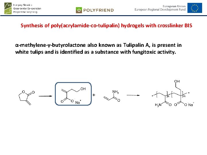 Synthesis of poly(acrylamide-co-tulipalin) hydrogels with crosslinker BIS α-methylene-γ-butyrolactone also known as Tulipalin A, is