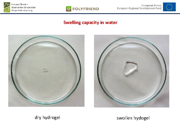 Swelling capacity in water dry hydrogel swollen hydogel 