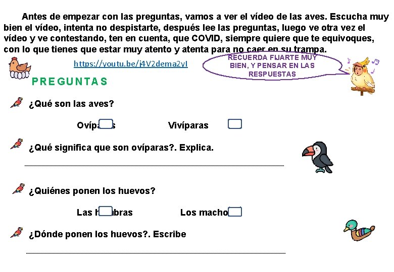 Antes de empezar con las preguntas, vamos a ver el vídeo de las aves.