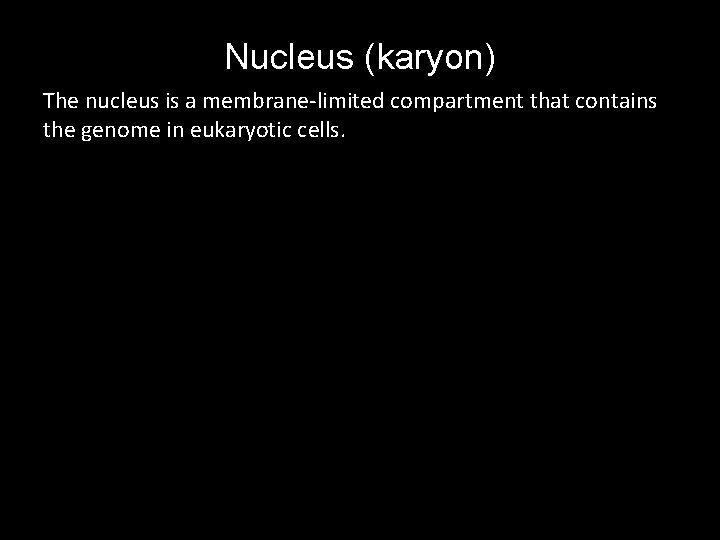 Nucleus (karyon) The nucleus is a membrane-limited compartment that contains the genome in eukaryotic