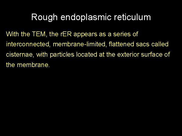 Rough endoplasmic reticulum With the TEM, the r. ER appears as a series of