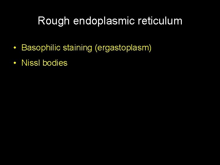 Rough endoplasmic reticulum • Basophilic staining (ergastoplasm) • Nissl bodies 