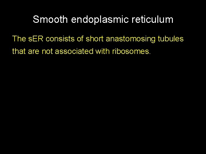 Smooth endoplasmic reticulum The s. ER consists of short anastomosing tubules that are not