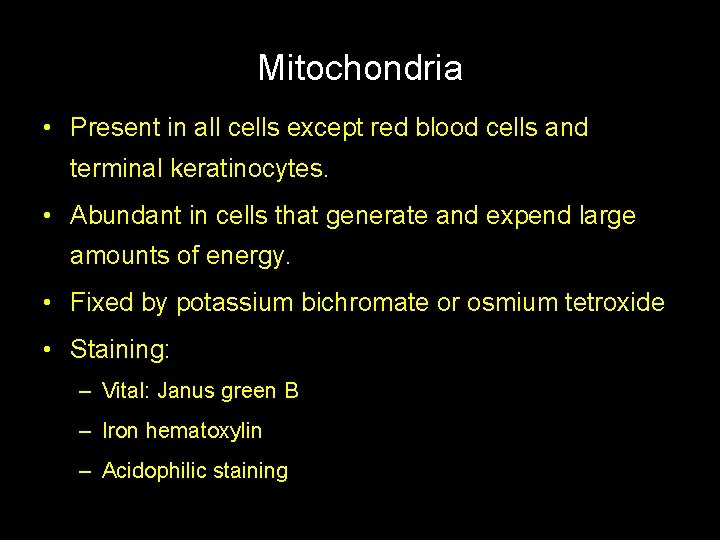 Mitochondria • Present in all cells except red blood cells and terminal keratinocytes. •