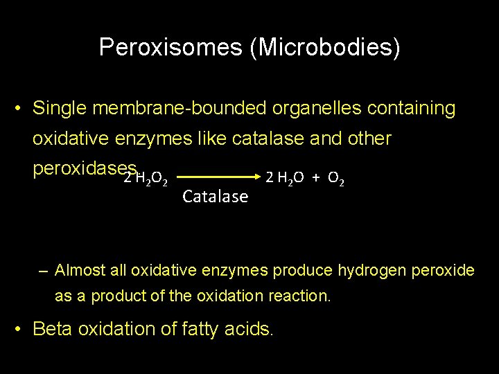 Peroxisomes (Microbodies) • Single membrane-bounded organelles containing oxidative enzymes like catalase and other peroxidases.