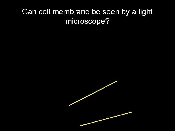 Can cell membrane be seen by a light microscope? 