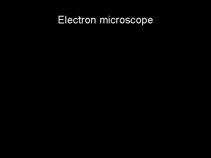 Electron microscope 