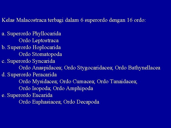 Kelas Malacostraca terbagi dalam 6 superordo dengan 16 ordo: a. Superordo Phyllocarida Ordo Leptostraca