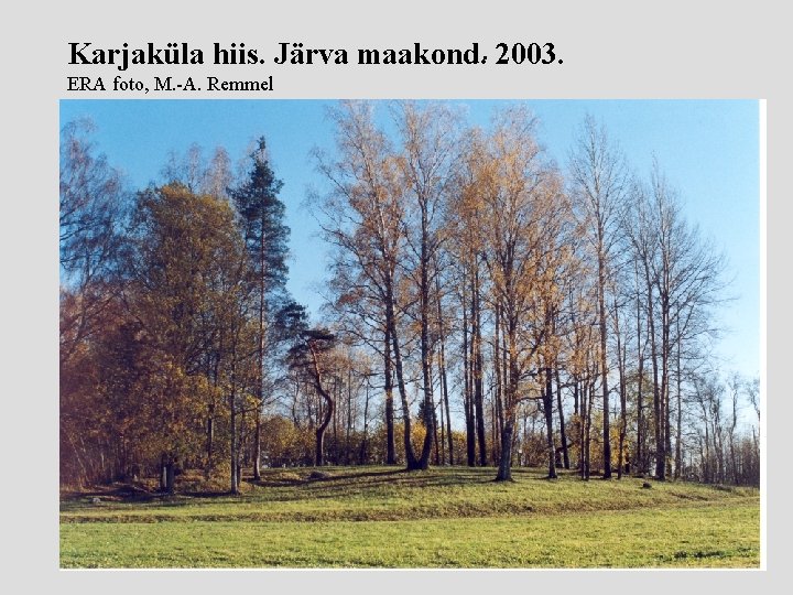 Karjaküla hiis. Järva maakond. . 2003. ERA foto, M. -A. Remmel 