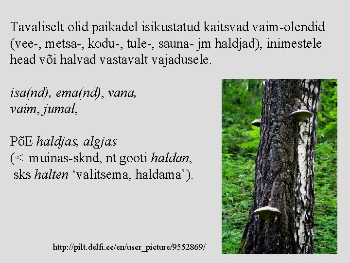 Tavaliselt olid paikadel isikustatud kaitsvad vaim-olendid (vee-, metsa-, kodu-, tule-, sauna- jm haldjad), inimestele