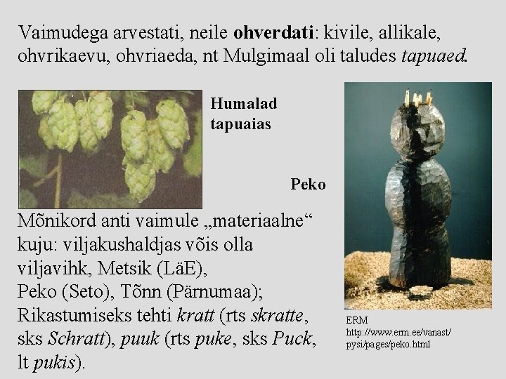 Vaimudega arvestati, neile ohverdati: kivile, allikale, ohvrikaevu, ohvriaeda, nt Mulgimaal oli taludes tapuaed. Humalad