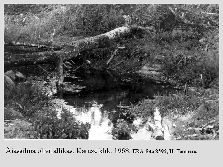 Äiassilma ohvriallikas, Karuse khk. 1968. ERA foto 8595, H. Tampere. 