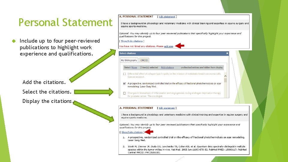 Personal Statement Include up to four peer-reviewed publications to highlight work experience and qualifications.