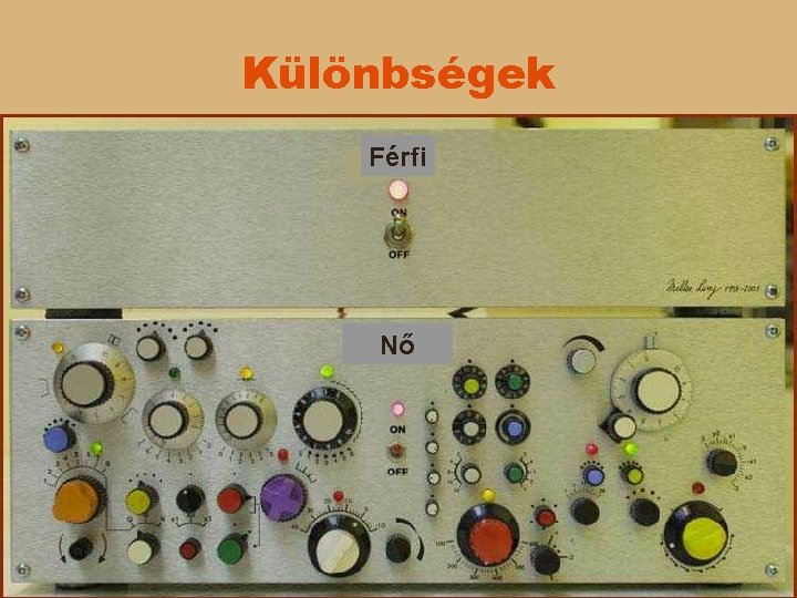 Különbségek Férfi Nő 