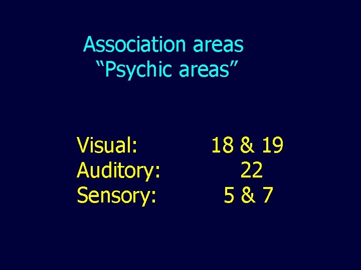Association areas “Psychic areas” Visual: Auditory: Sensory: 18 & 19 22 5&7 