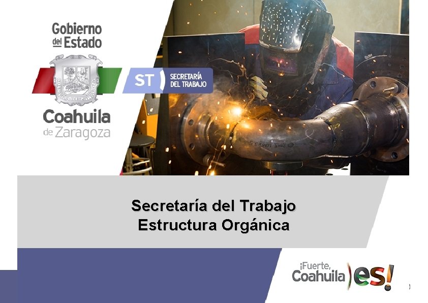 Secretaría del Trabajo Estructura Orgánica 