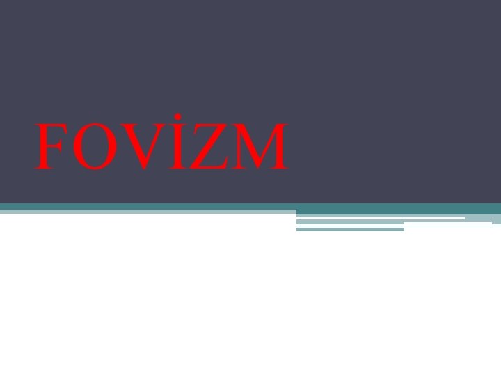 FOVİZM 