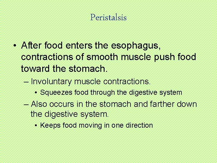 Peristalsis • After food enters the esophagus, contractions of smooth muscle push food toward