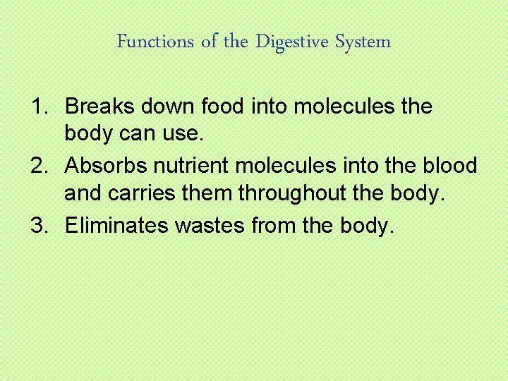 Functions of the Digestive System 1. Breaks down food into molecules the body can
