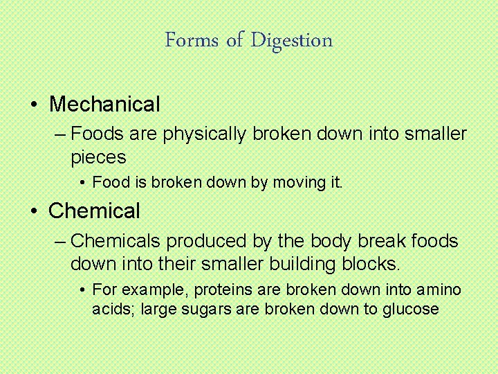 Forms of Digestion • Mechanical – Foods are physically broken down into smaller pieces