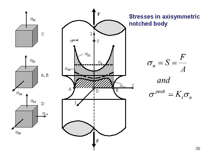 F 22 Stresses in axisymmetric notched body 2 C peak C 22 n 33