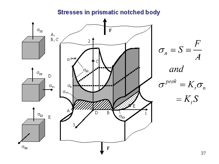 Stresses in prismatic notched body 22 F A, B, C 2 peak 22 D